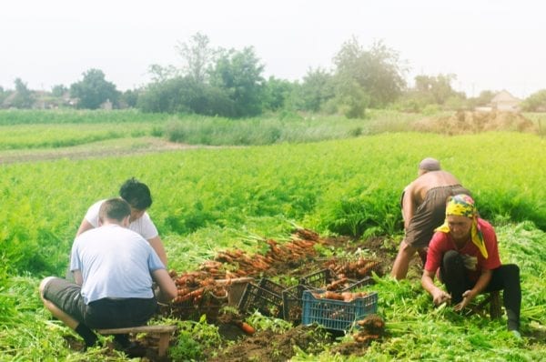 Ukrainian Migrant workers in Poland