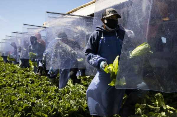 farmworkers