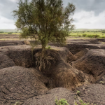 instability and migration land degradation affecting 3 billion people globally