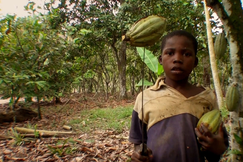 Mars Chocolate Child Labor Controversy: Company Use Kids As Young As 5