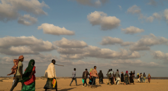 Mass murder of Ethiopian migrants is grave violation of human rights