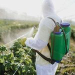 michigan farm producer pulled to court over pesticide exposure on migrant workers