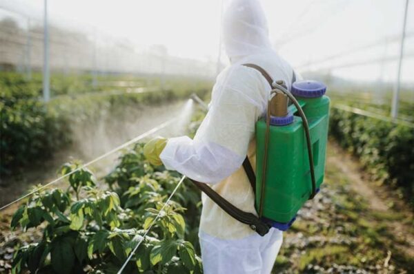 michigan farm producer pulled to court over pesticide exposure on migrant workers