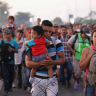 migrant caravan heading for us from mexico shrinks as donald trump clinches presidential election