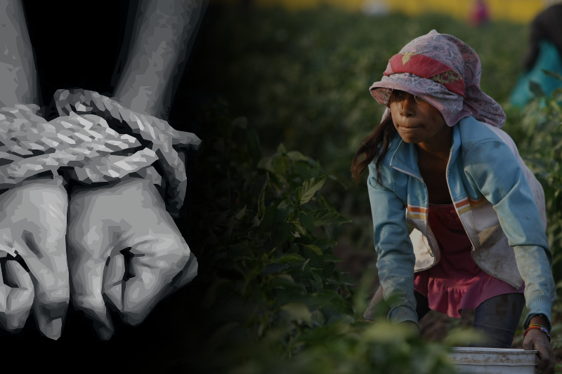 US: Migrant workers forced into modern-day slavery at gunpoint; 24 people booked