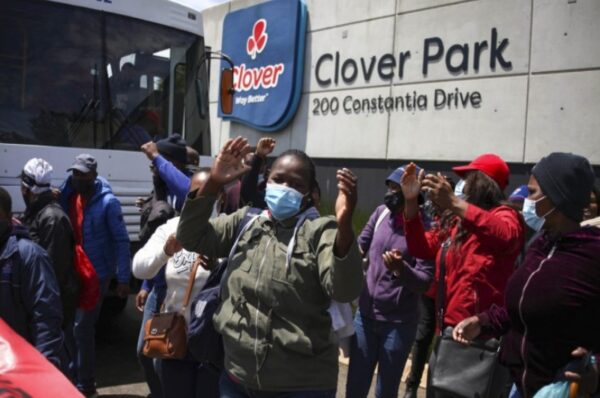 south african diary company clover get worldwide support over worker rights pleas