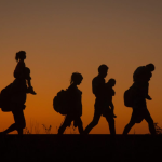 why international migrants day 2024 matters insights on its history and impact