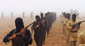 UN probe into Islamic State crimes in Iraq halts operations prematurely