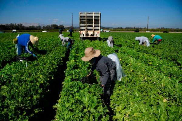 farmers and front line workers, we are yet to give them the deserved rights and respect