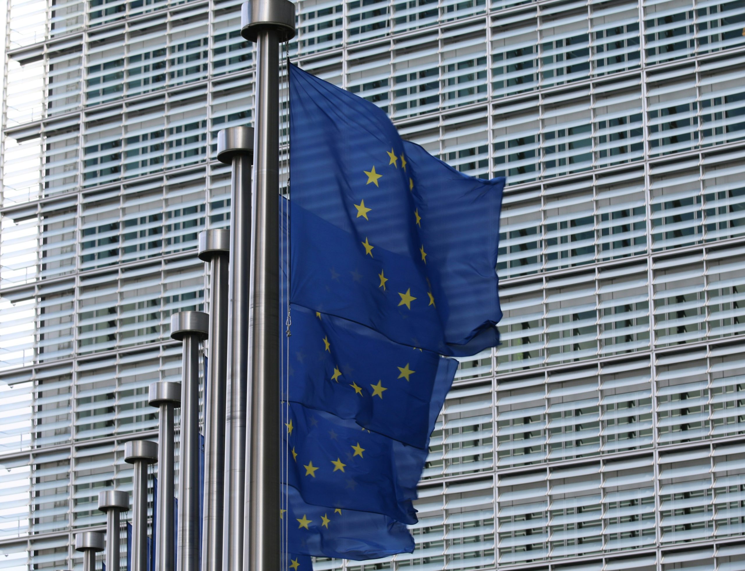 5 Major Human Rights Concerns for European Elections