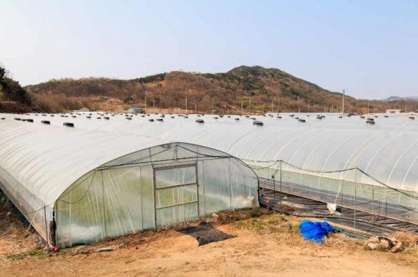 vinyl greenhouse